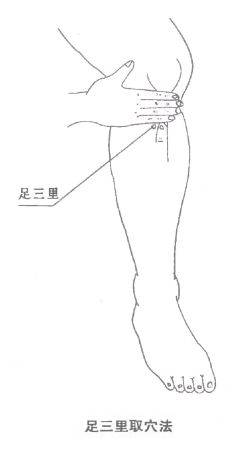 4202条图7