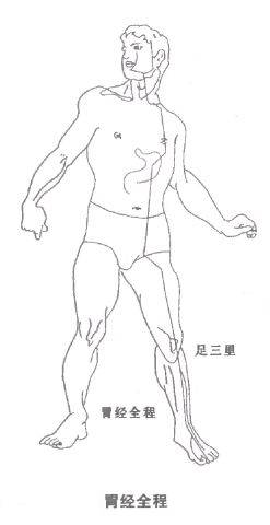 4202条图8