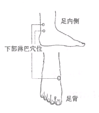 651条图