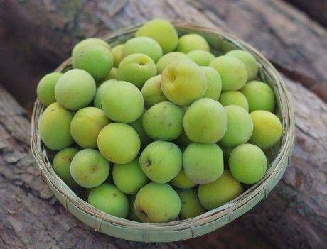 何当共饮青梅酒