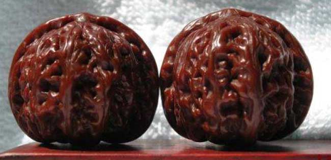 文玩核桃的种类有哪些？