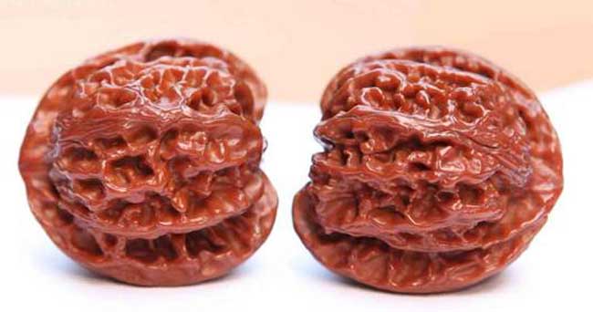 文玩核桃的种类有哪些？