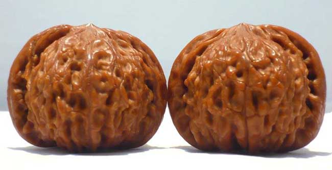 文玩核桃的种类有哪些？