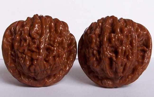 文玩核桃的种类有哪些？