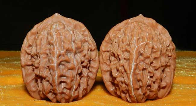 文玩核桃的种类有哪些？