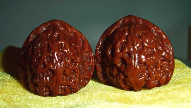 文玩核桃的种类有哪些？