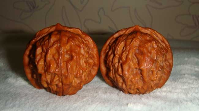 文玩核桃的种类有哪些？