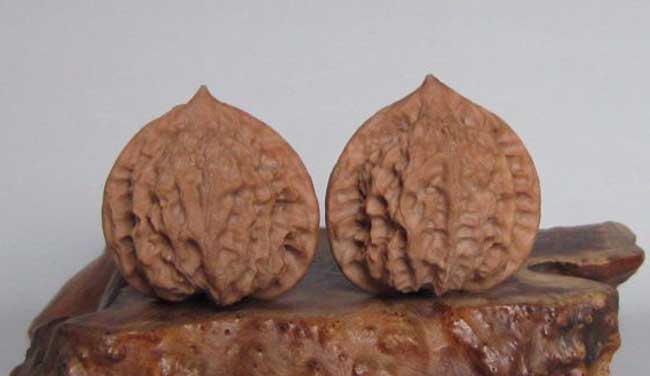 文玩核桃的种类有哪些？