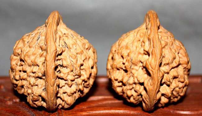 文玩核桃的种类有哪些？