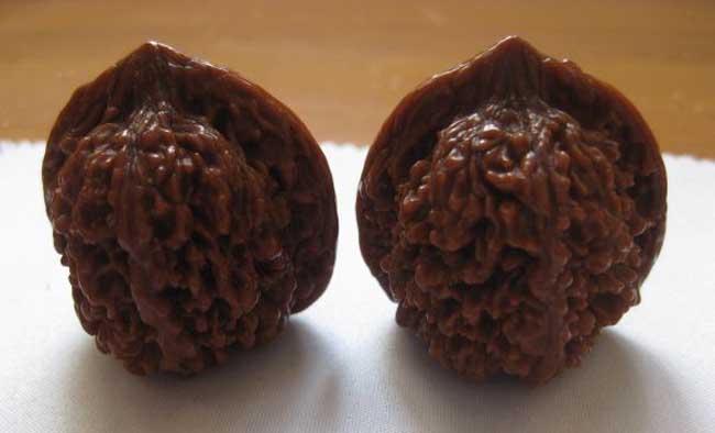 文玩核桃的种类有哪些？