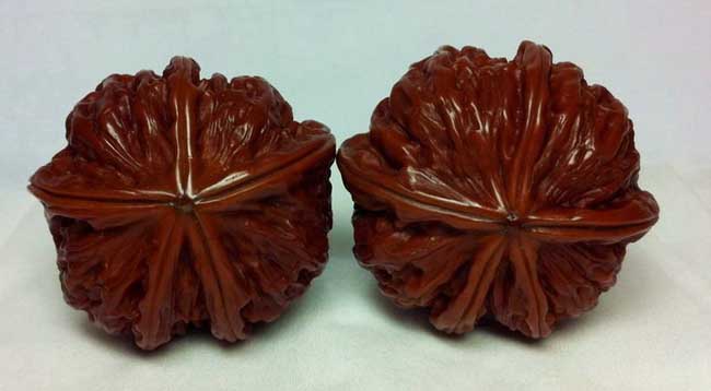 文玩核桃的种类有哪些？