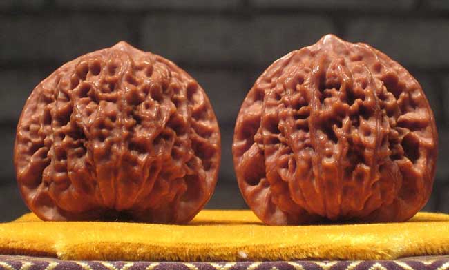 文玩核桃的种类有哪些？