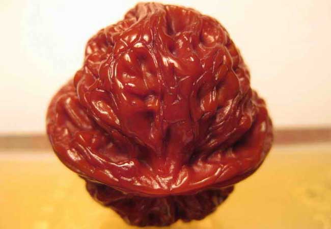 文玩核桃的保养技巧