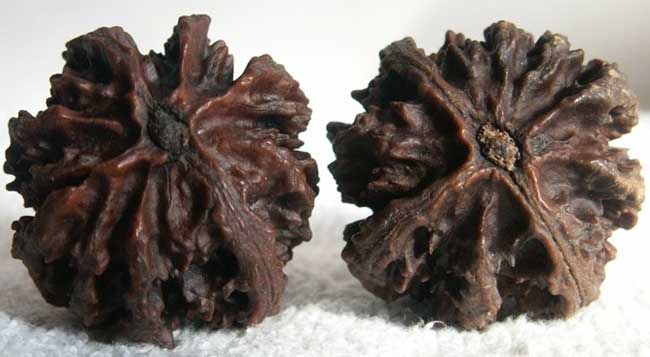 文玩核桃的保养技巧