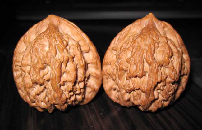 文玩核桃是什么东西？