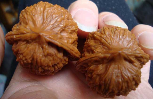 文玩核桃是什么东西？