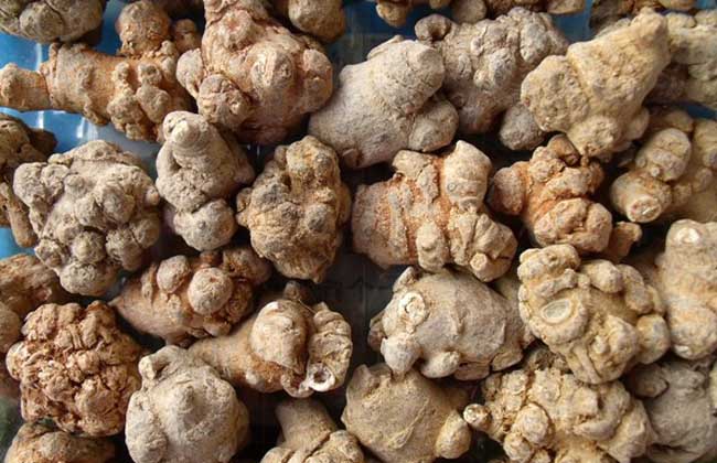 三七能治失眠吗？