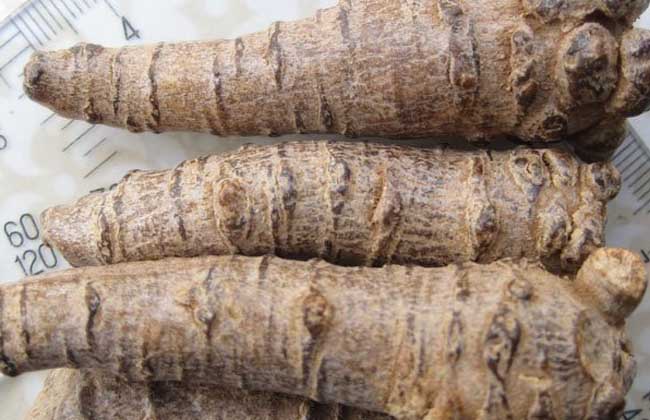 三七能治失眠吗？