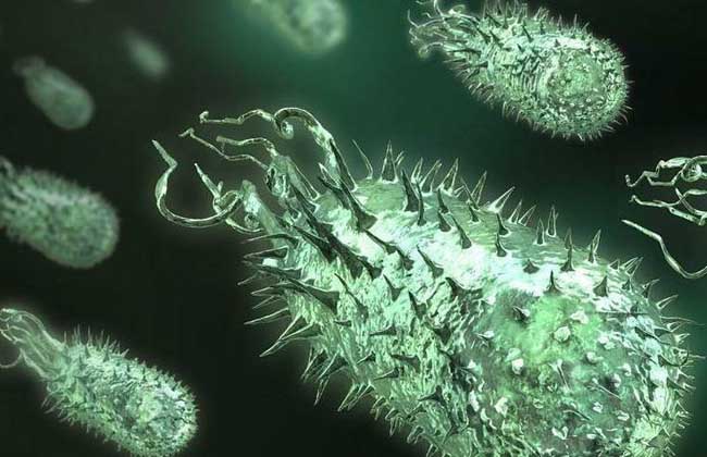 如何预防结核杆菌传染？