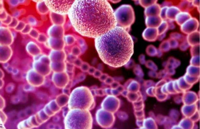 幽门螺旋杆菌阳性什么意思?