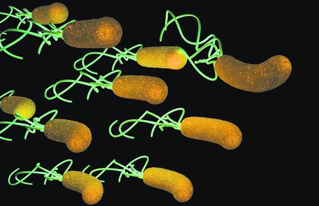 幽门螺旋杆菌阳性什么意思?
