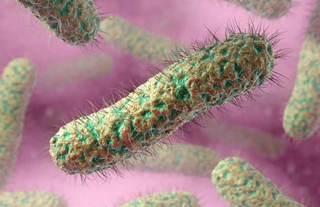 幽门螺旋杆菌的症状和治疗