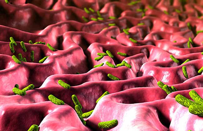 幽门螺旋杆菌会传染吗？