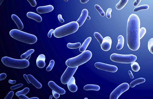 幽门螺旋杆菌会传染吗？