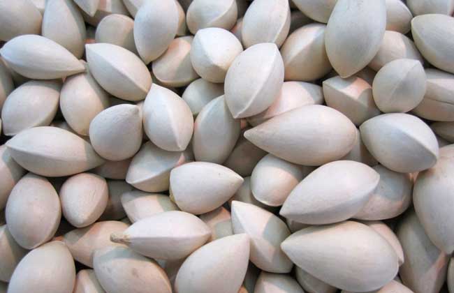 白果治痤疮效果怎么样？