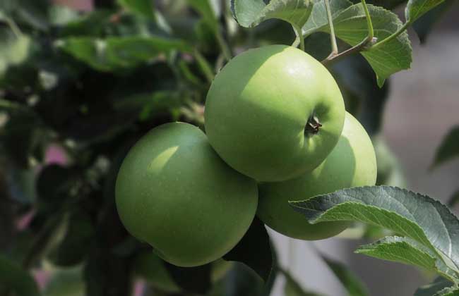 牙齿美白最简单的办法