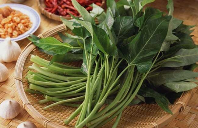 吃什么蔬菜能降血糖？