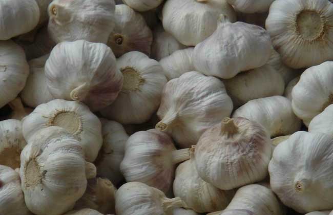 吃什么蔬菜能降血糖？