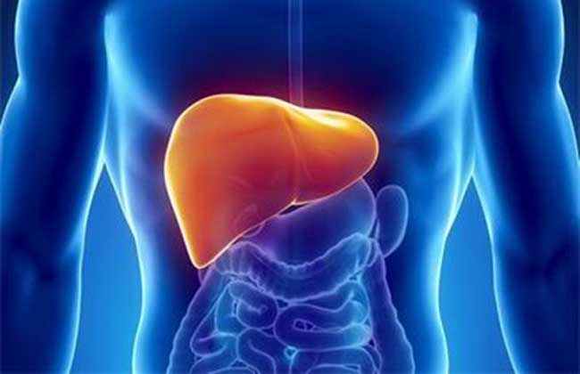 脂肪肝吃什么食物好？