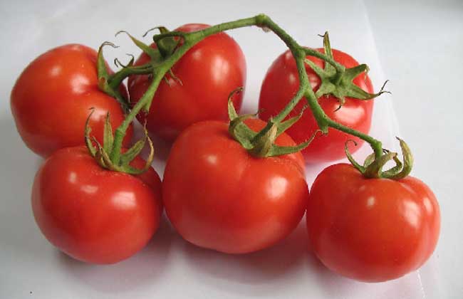 脂肪肝吃什么食物好？