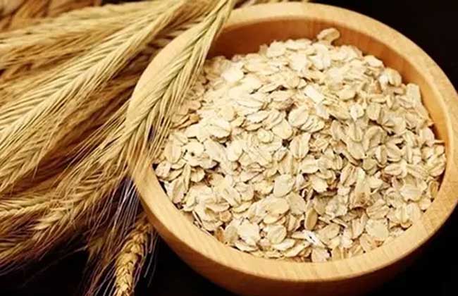 脂肪肝吃什么食物好？