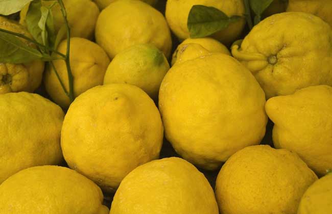 脂肪肝吃什么食物好？