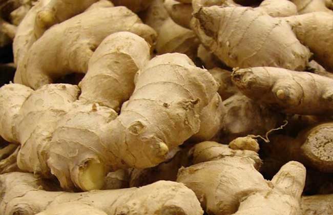 脂肪肝吃什么食物好？