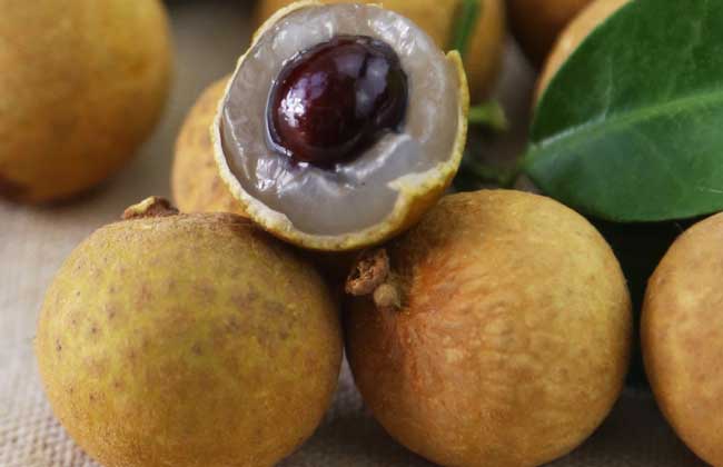 龙眼一天吃多少合适？