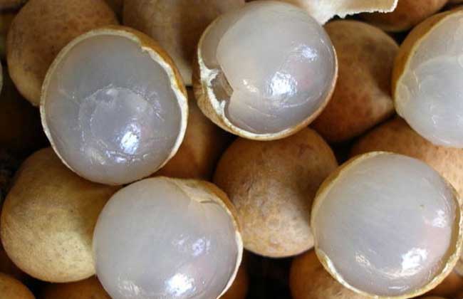 龙眼一天吃多少合适？