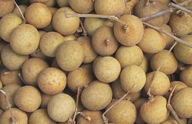 龙眼一天吃多少合适？