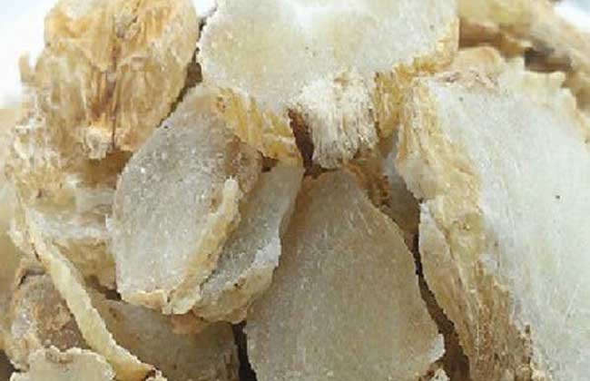 白芨粉的功效与作用及禁忌