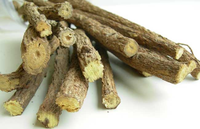 炙甘草的功效与作用