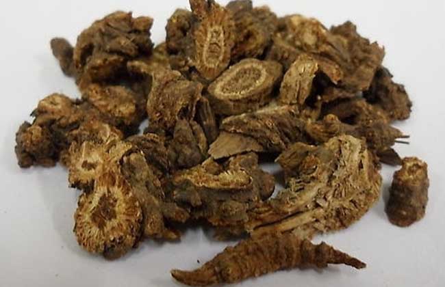 羌活的功效与作用