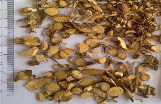 八角枫的功效和作用及禁忌