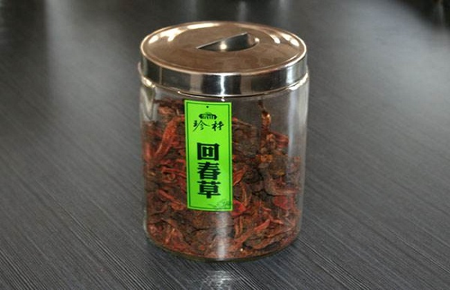 回春草的功效与作用