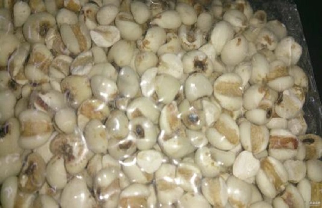 薏米仁的功效与作用