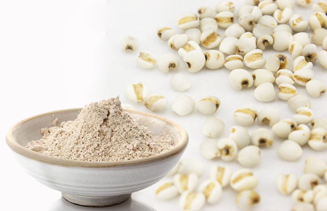 薏仁粉的功效与使用方法