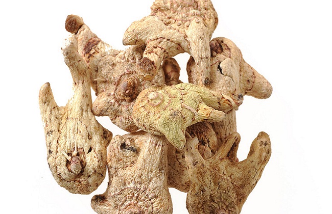 白及的功效与作用