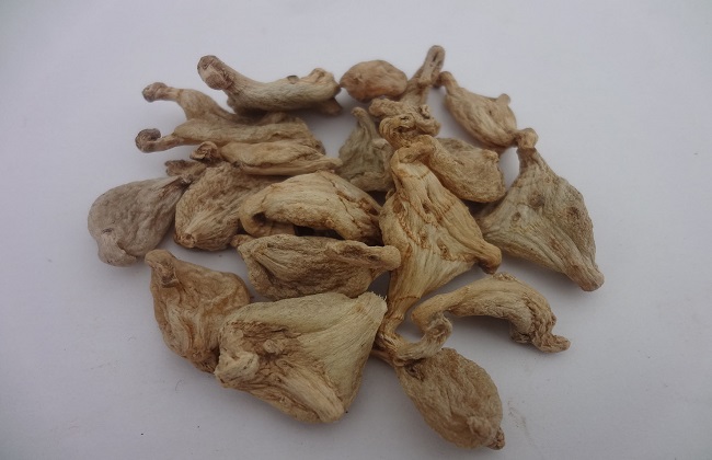 白及的功效与作用