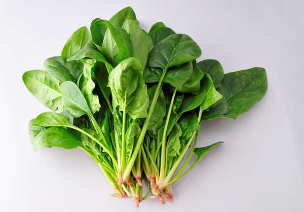 菠菜和豆腐能一起吃吗?